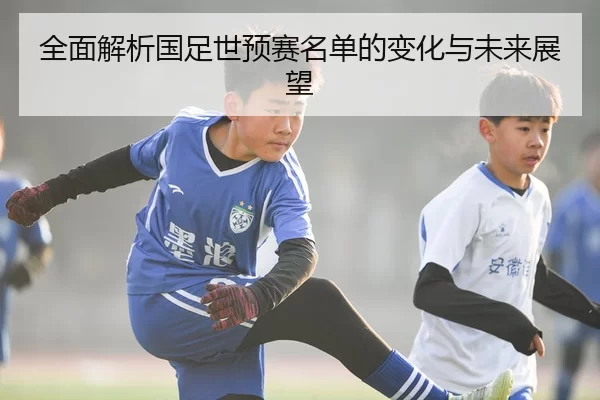全面解析国足世预赛名单的变化与未来展望